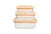 Glass Food Container with Silicone Lid