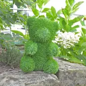 AniPlants Bear Grass Figure