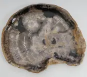 Petrified Wood Bowls and Plates