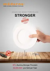 30 Percent Alumina, Stronger Porcelain