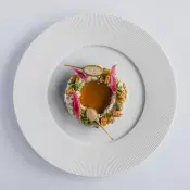 DEGRENNE L RAYON Embossed Porcelain Collection