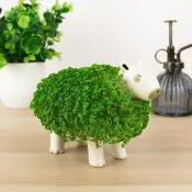Capybara Chia Pet