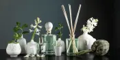 Verde Lorena Home Fragrance