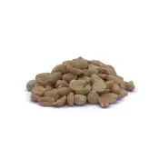 Çiğ, Kavrulmuş ve Aromalı Yer Fıstığı