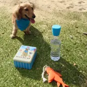 KOBE Beach Day Kit