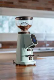 Fiorenzato Allground Classic Coffee Grinder