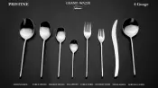 PRISTINE 4 Gauge SS304 Cutlery Set