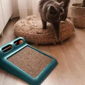 Pet Toys for Cats and Dogs