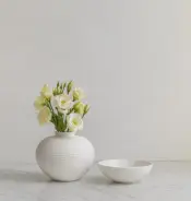 Kaiser Porzellan Series Linnia Porcelain