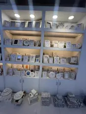 Bone Horn Frames and Boxes