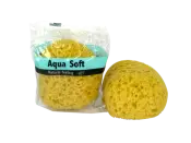 Cleaning Sponges Tool