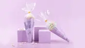 Candy Bag Packaging