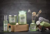 Primacy Reed Diffusers
