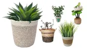 Decorative Garden Planter