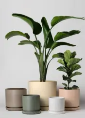 Global Base Premium Plant Pots