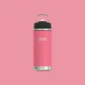 Thermos Icon Kids Water Bottle