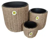 DS-KN1431/3 Poly Rattan Planters with Pots