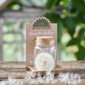 Make a Wish Seed Gift