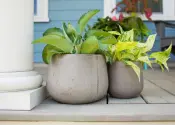 Light Fiber Cement Planters