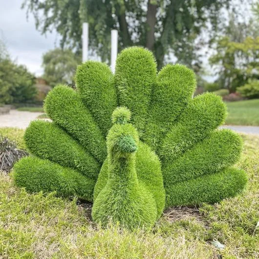 AniPlants Peacock Grass Figure
