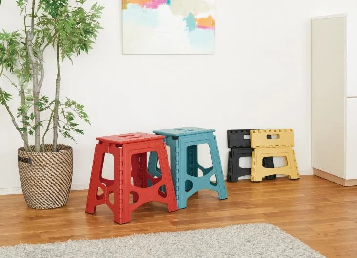 Tenma Foldable Step