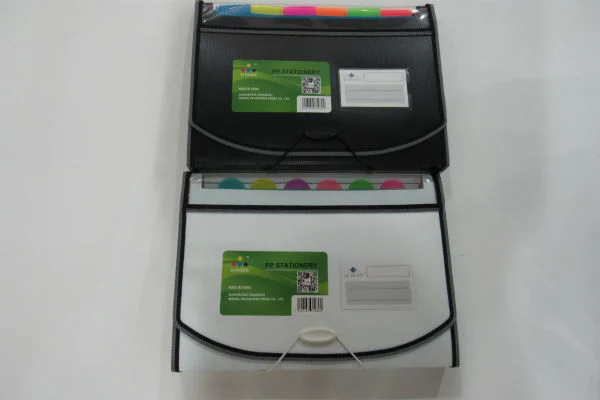 PP Accordion File Bag