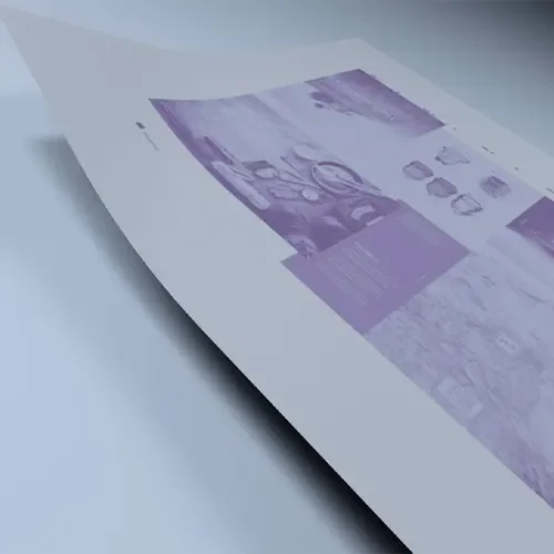 Kodak Printing Plates