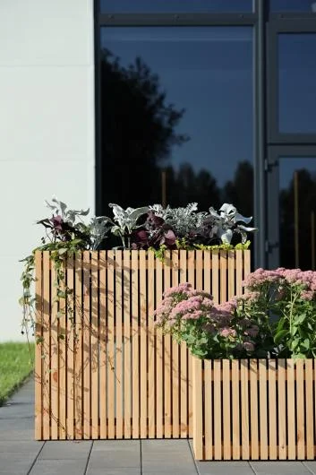 PATKAR Pinewood Planting Box