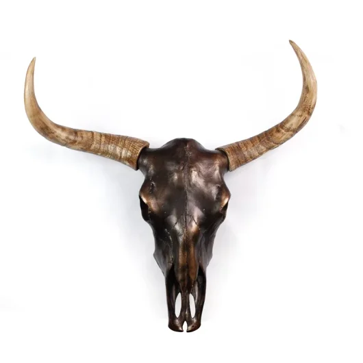 Wall Decor Decor