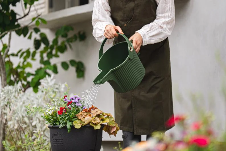 Garden Beetle Fontana Watering Pot