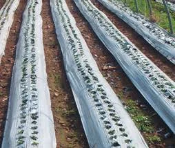 Migliore Agricultural Mulch Films