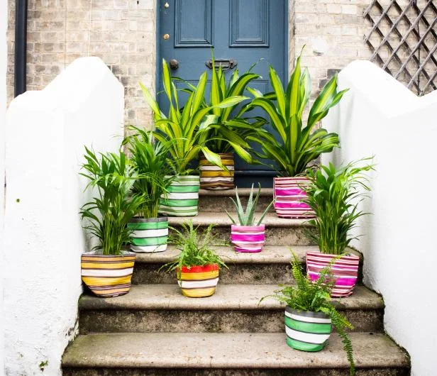 Plant Pot Covers and Storage Baskets