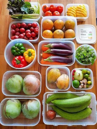 Plastic Food Container Storage Box