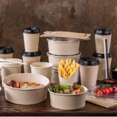 Takeaway Packaging and Disposable Foodservice Supplies