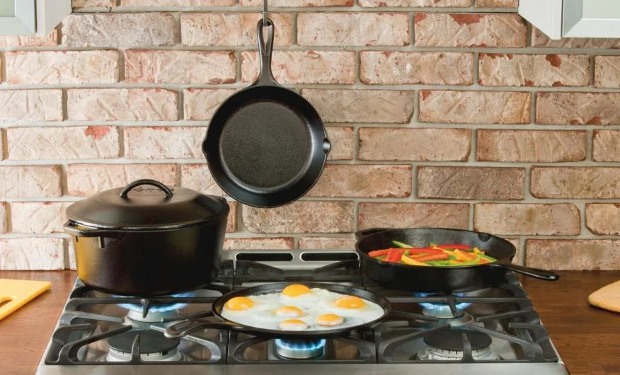 Lodge Seasoned Cast Iron Cookware