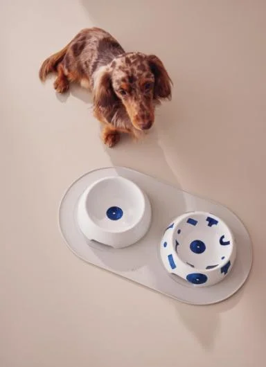 Mangkuk Porselen Itsumo Pet Yunoki Ware