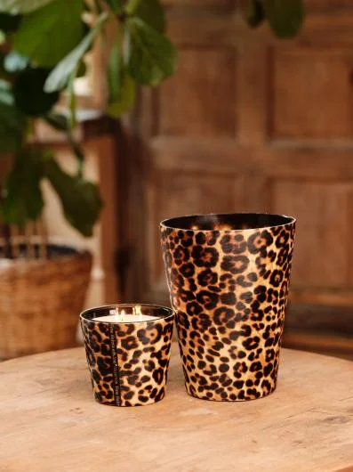 Candles Victoria gheoparde
