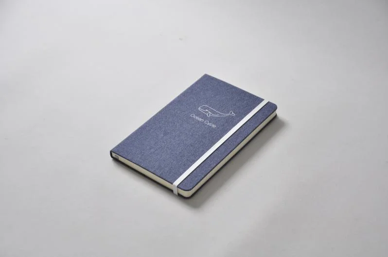 Ocean Cycle Notebook