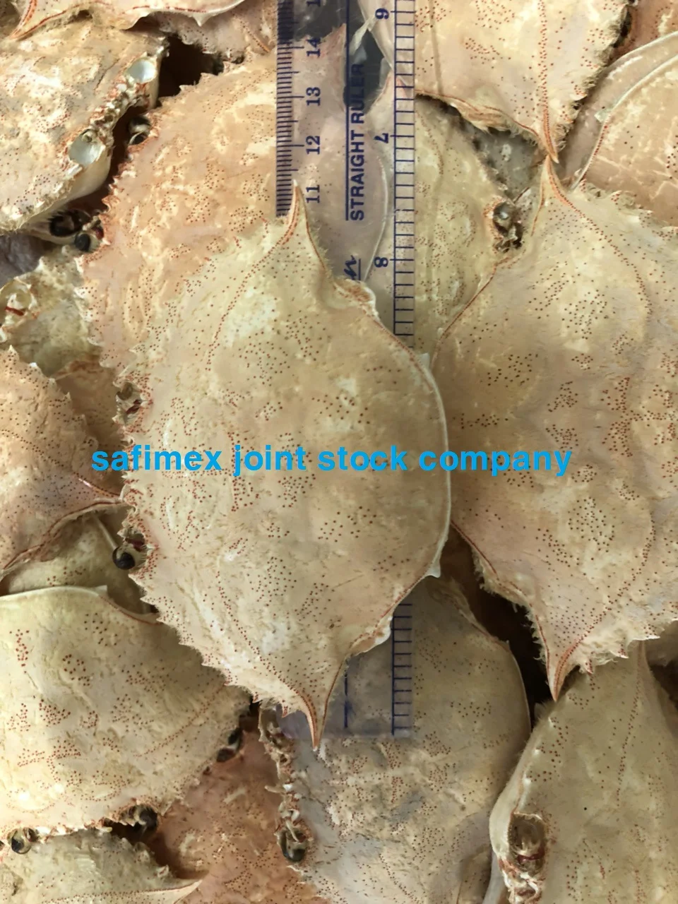 Dried Crab Shell
