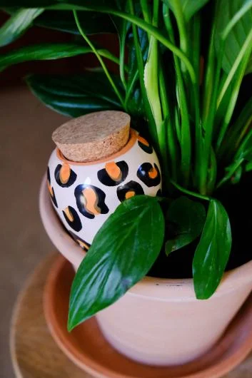 Pepin Ollas Plant Pots