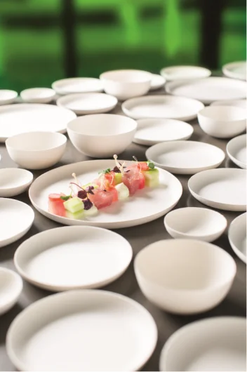 Bagastro Disposable Tableware