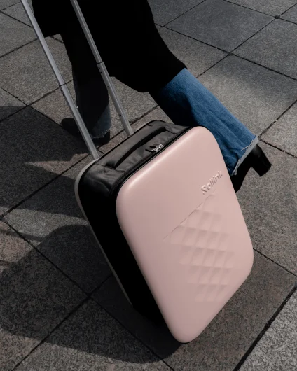 Rollink Flex Vega Suitcase