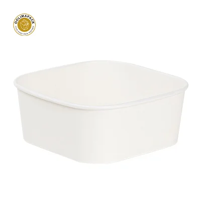Eco-Friendly Paper Tableware and Food Containers