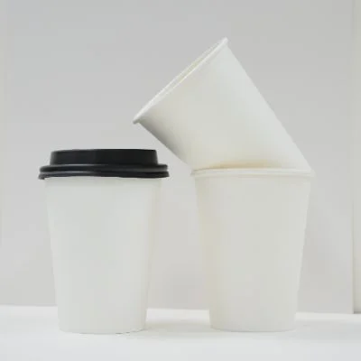 Single-Wall and Double-Wall Paper Cups