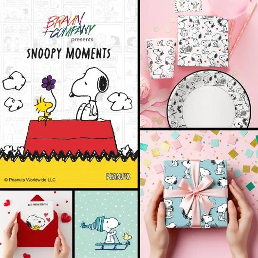 Braun+Company x Peanuts لائسنس یافتہ مصنوعات