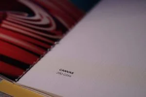 Art Paper for Printing and Packaging