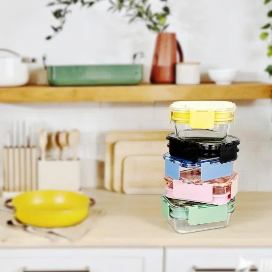 Double Layer High Borosilicate Glass Lunch Box