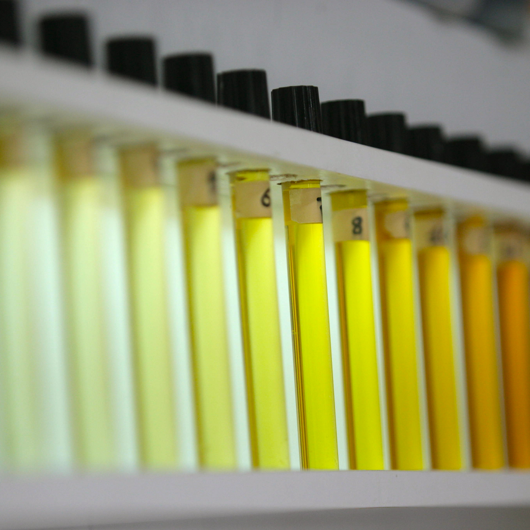 Lecithin Emulsifier Ingredients for Food Manufacturing