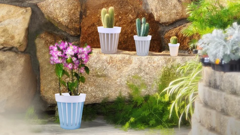 Rena Shine Decorative Vases