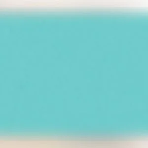 VULCAN Self-Adhesive Printing Blanket